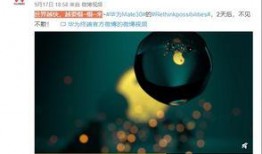 最新预告爆料视频大全